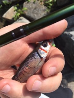 IMG_2303.jpg