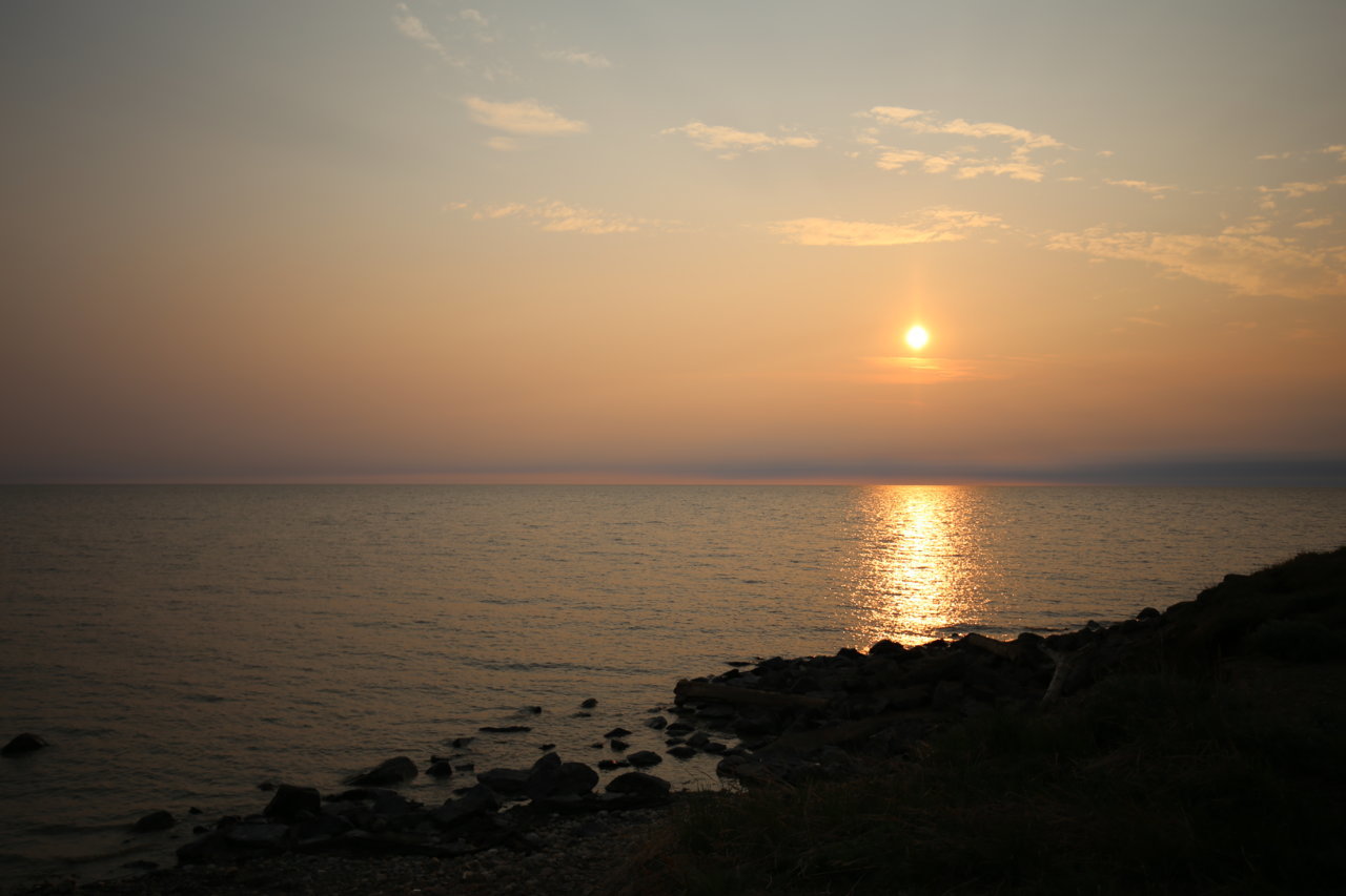 IMG_2305.jpg