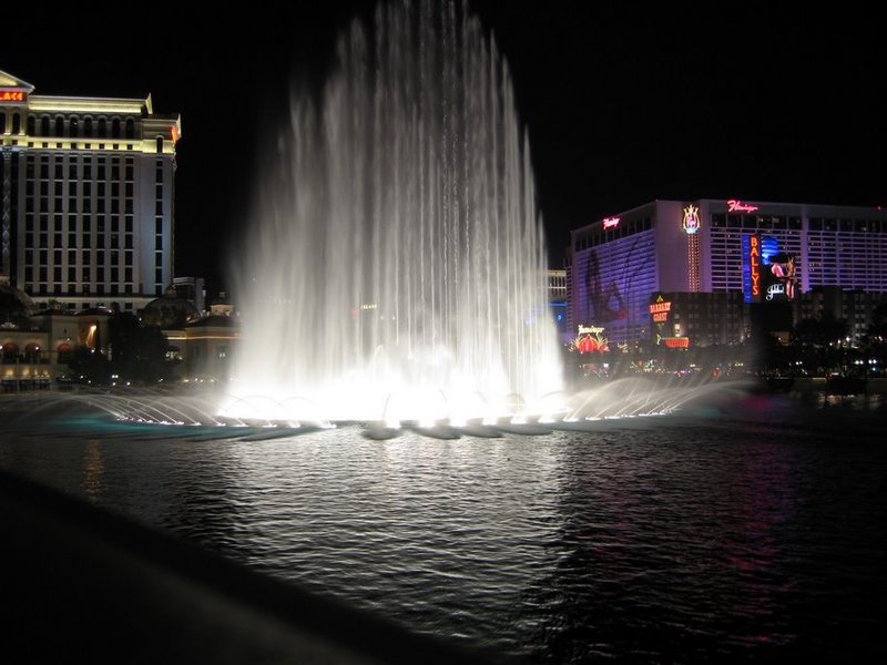 IMG_2321.jpg