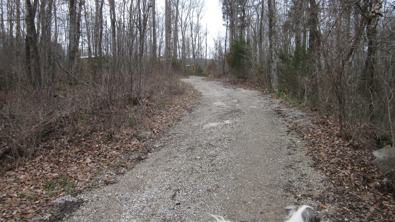 IMG_2342.jpg