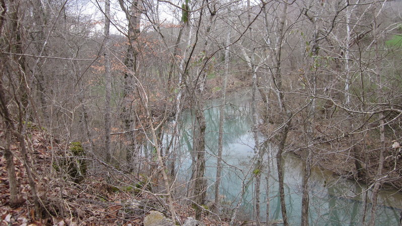 IMG_2343.jpg