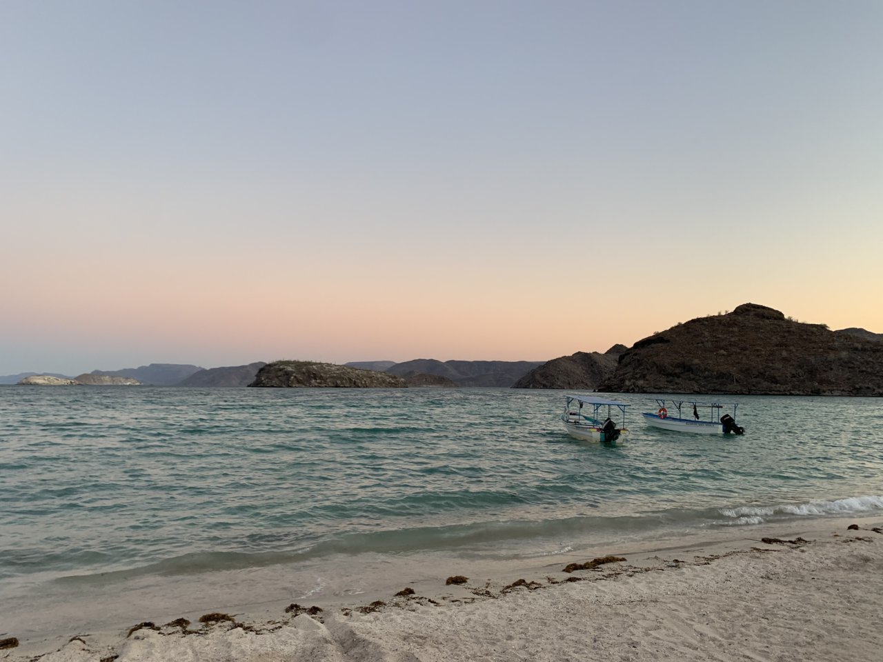 IMG_2349.jpg