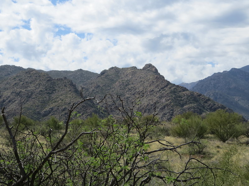 IMG_2400.jpg