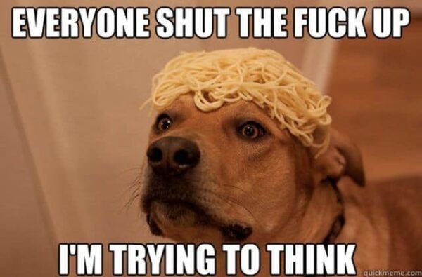 IMG_2424.png