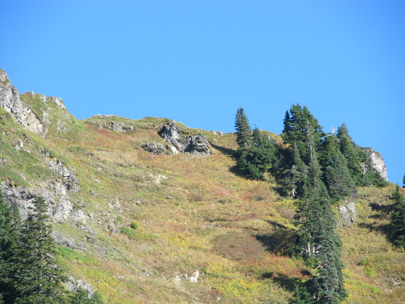IMG_2429.jpg
