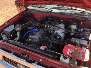IMG_2431.jpg