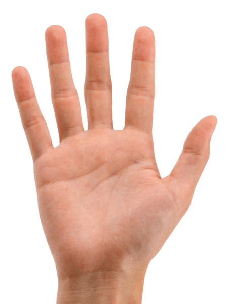 IMG_2434.png