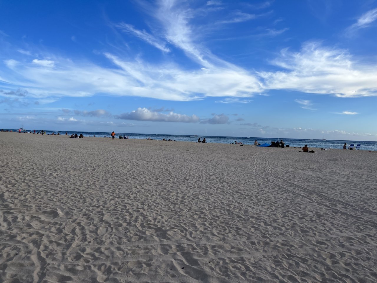 IMG_2439.jpg