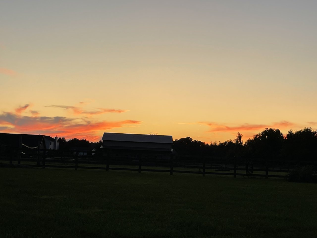 IMG_2440.jpg