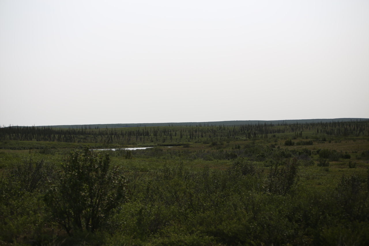 IMG_2446.jpg