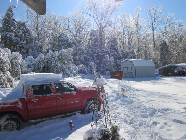 IMG_2457.jpg