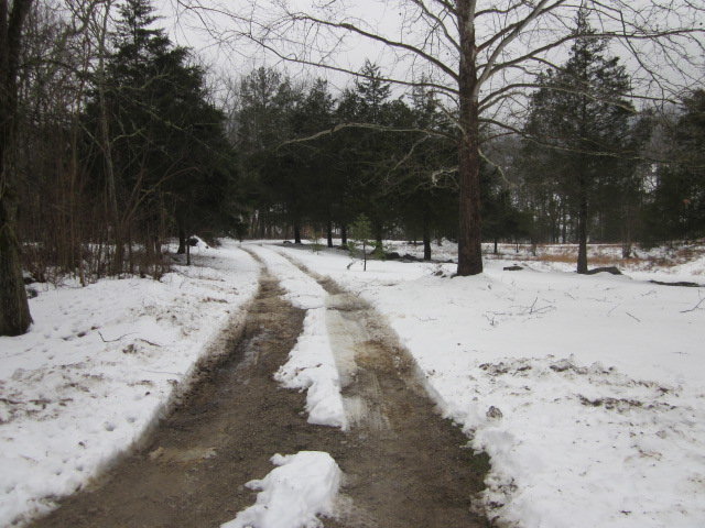 IMG_2476.jpg