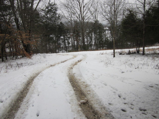 IMG_2478.jpg