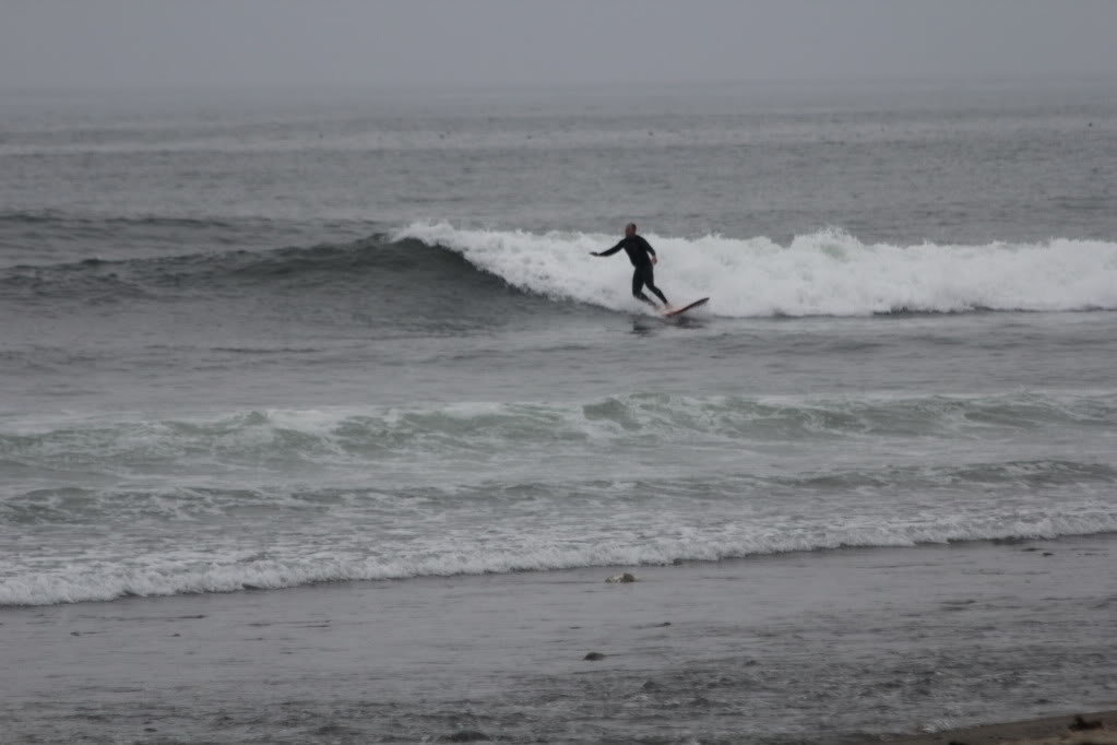 IMG_2478_62ea84b7c652f6077ad1d18563f83d233636d382.jpg