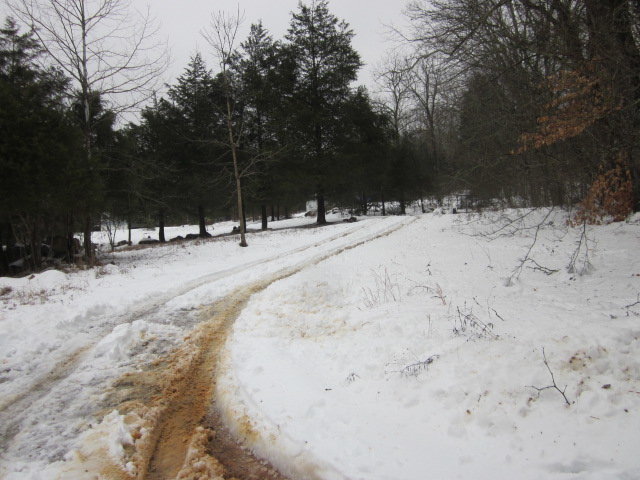 IMG_2480.jpg