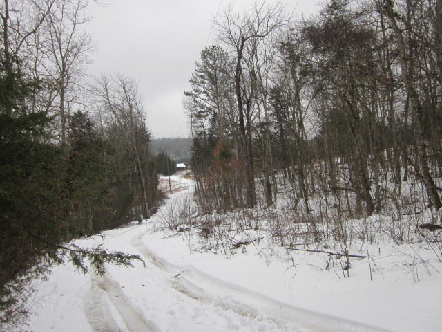IMG_2482.jpg