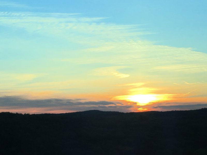 IMG_2495.jpg