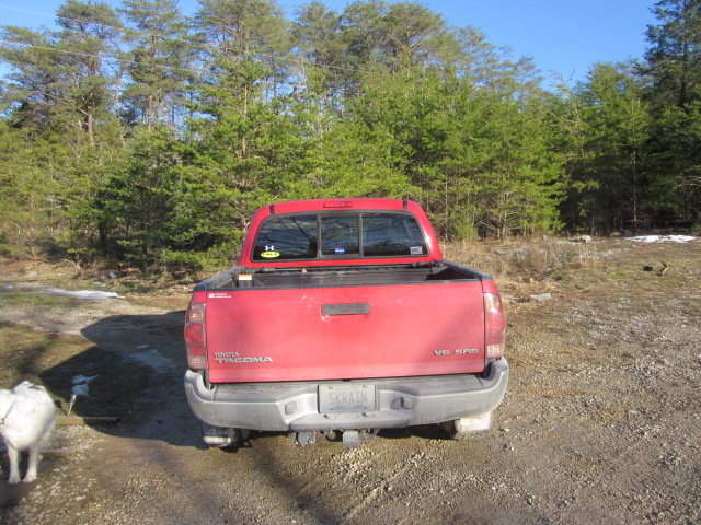 IMG_2495.jpg