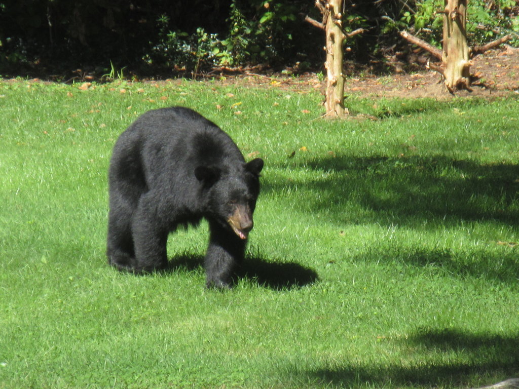 IMG_2500-1.jpg