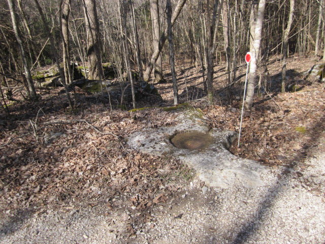 IMG_2510.jpg
