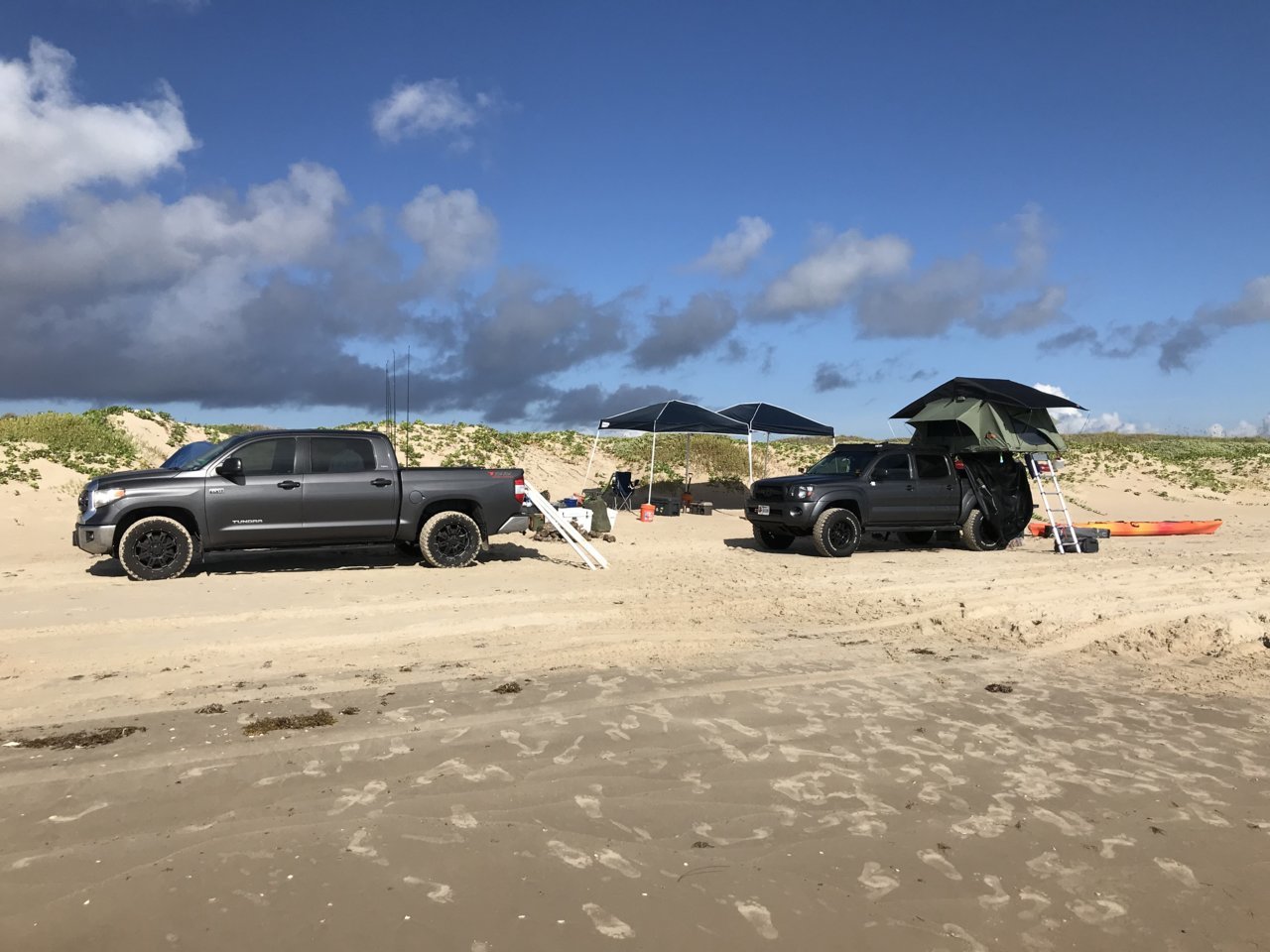 IMG_2538.jpg