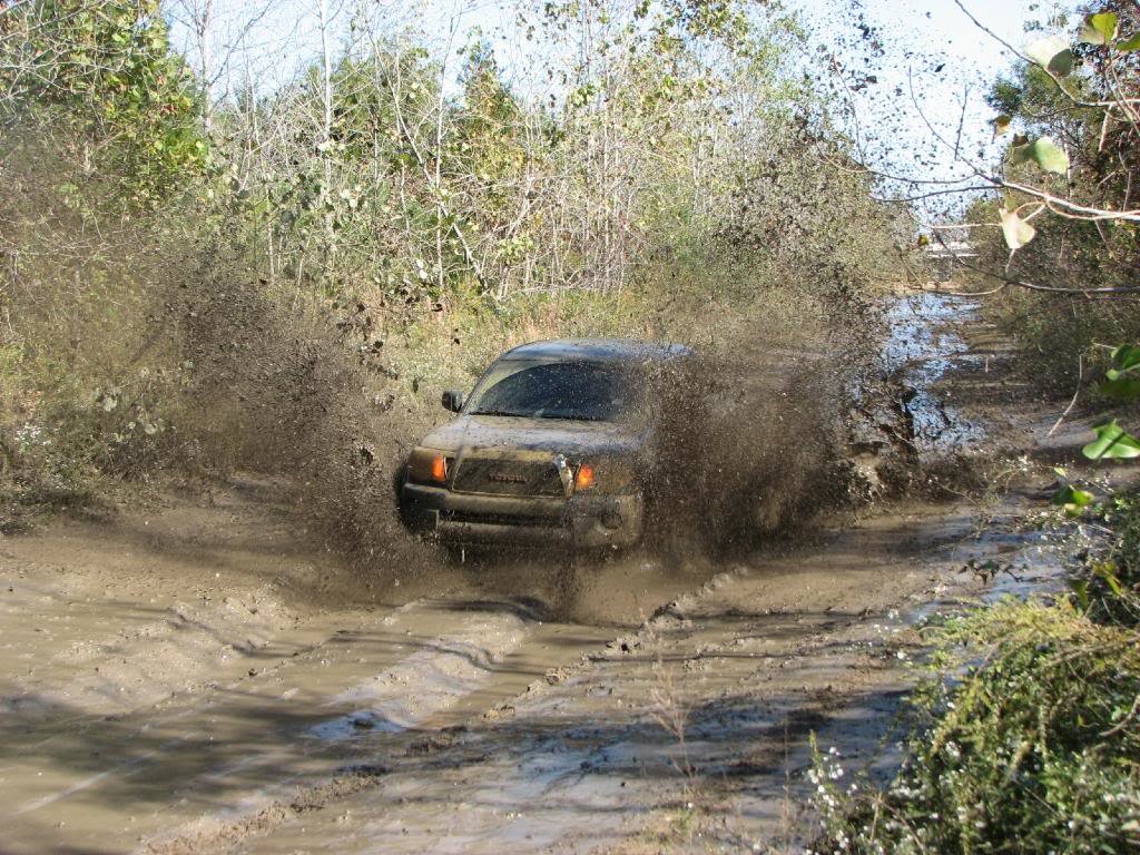 IMG_2540_b5845dd669de2a281d12870e277873e8a1d9d7c6.jpg
