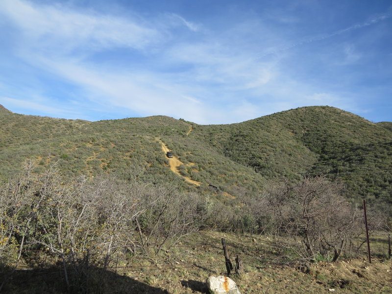 IMG_2585.jpg