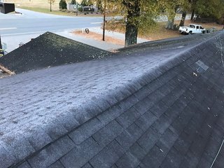 IMG_2599.jpg