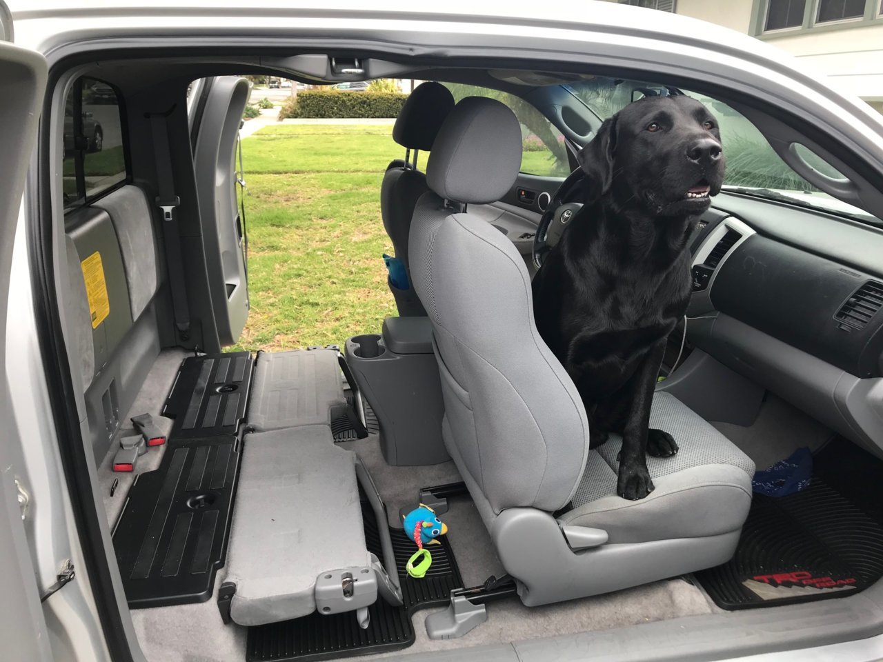 rear facing car seat in single cab truck