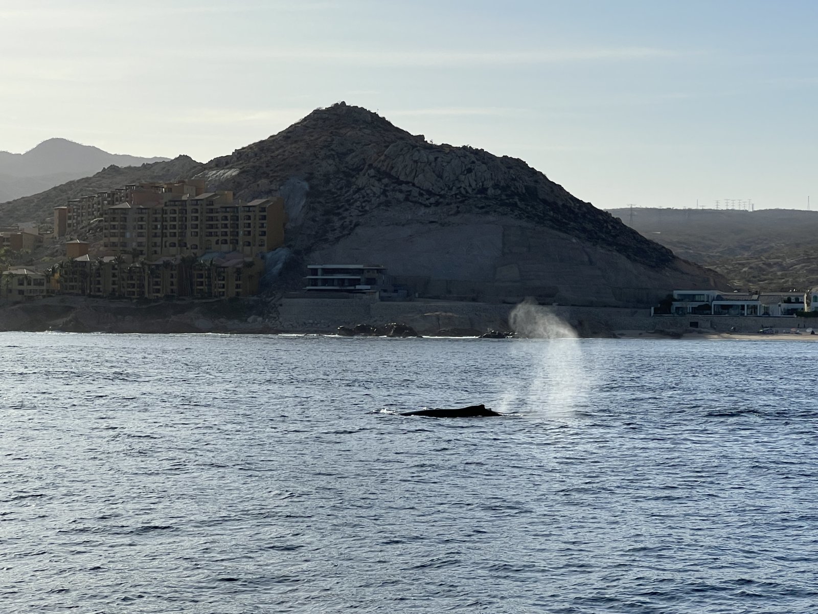 IMG_2632.jpg