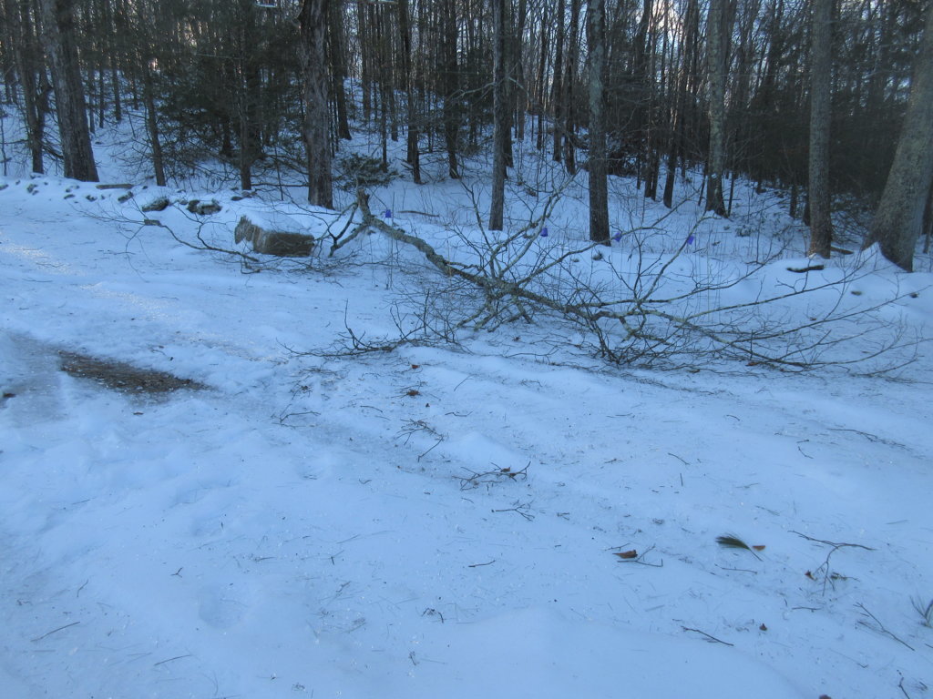 IMG_2657.jpg