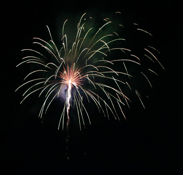 IMG_2666.jpg