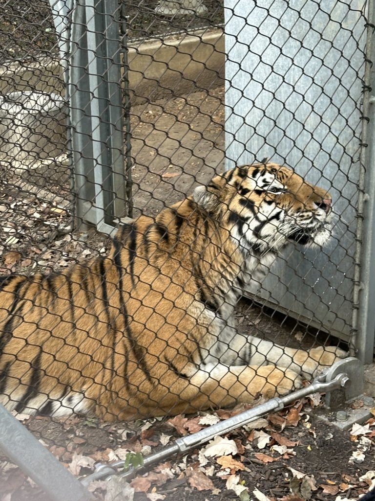 IMG_2669.jpg