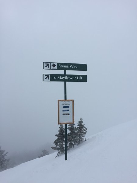 IMG_2679.jpg