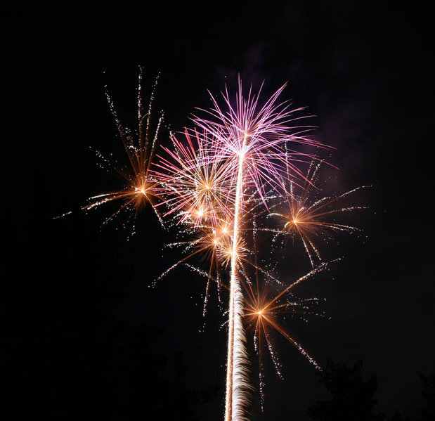 IMG_2682.jpg
