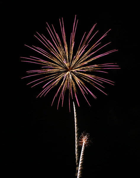 IMG_2692.jpg