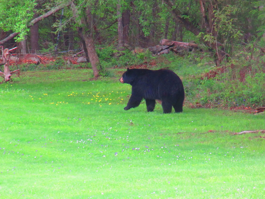 IMG_2708.jpg