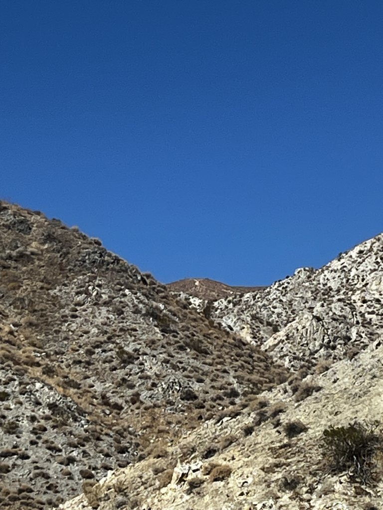 IMG_2717.jpg