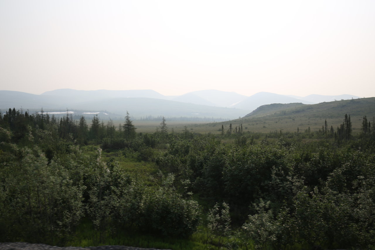 IMG_2725.jpg