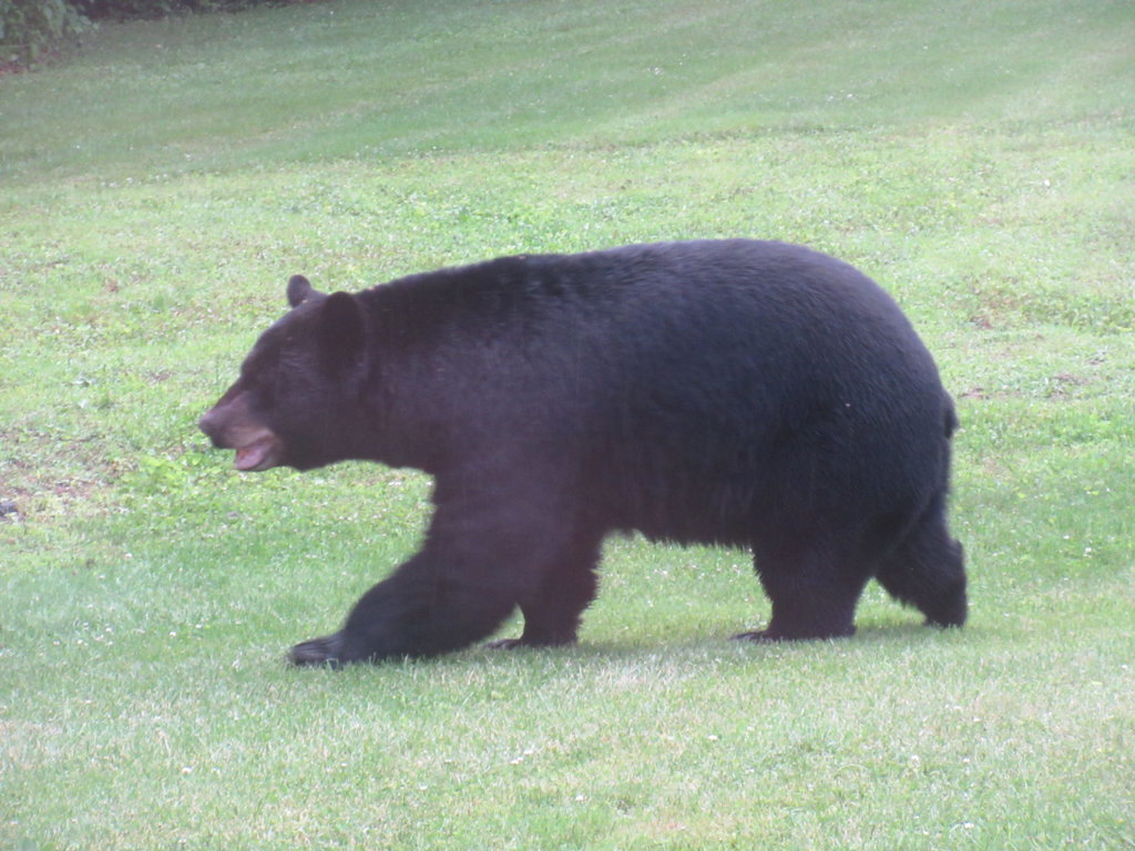 IMG_2737.jpg