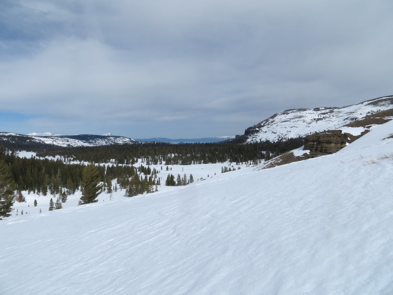 IMG_2740.jpg