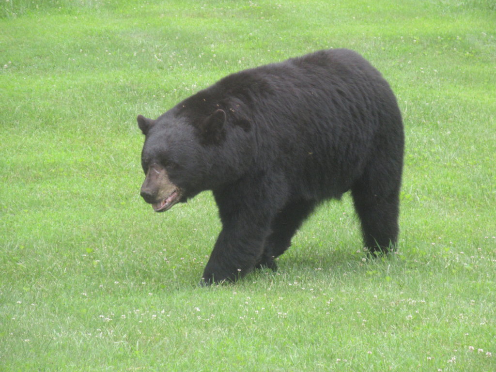 IMG_2753.jpg