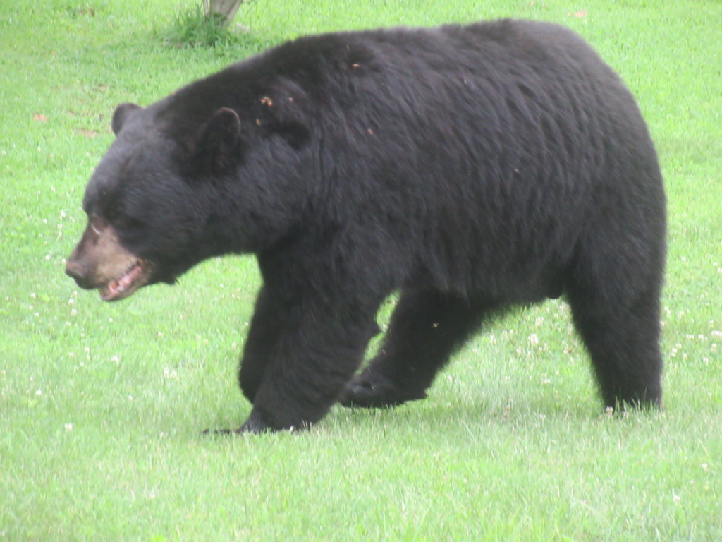 IMG_2754.jpg