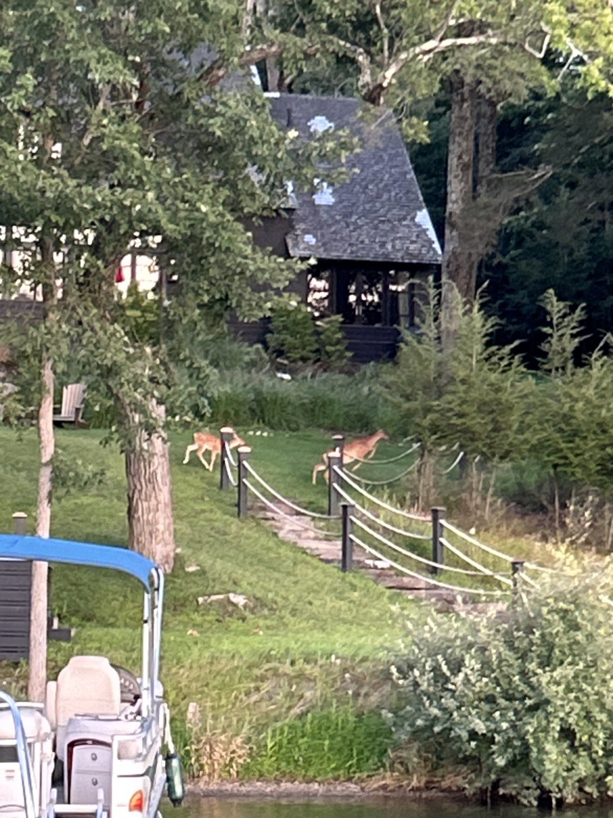 IMG_2766.jpg