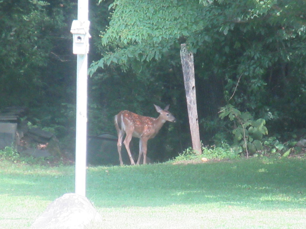 IMG_2787.jpg