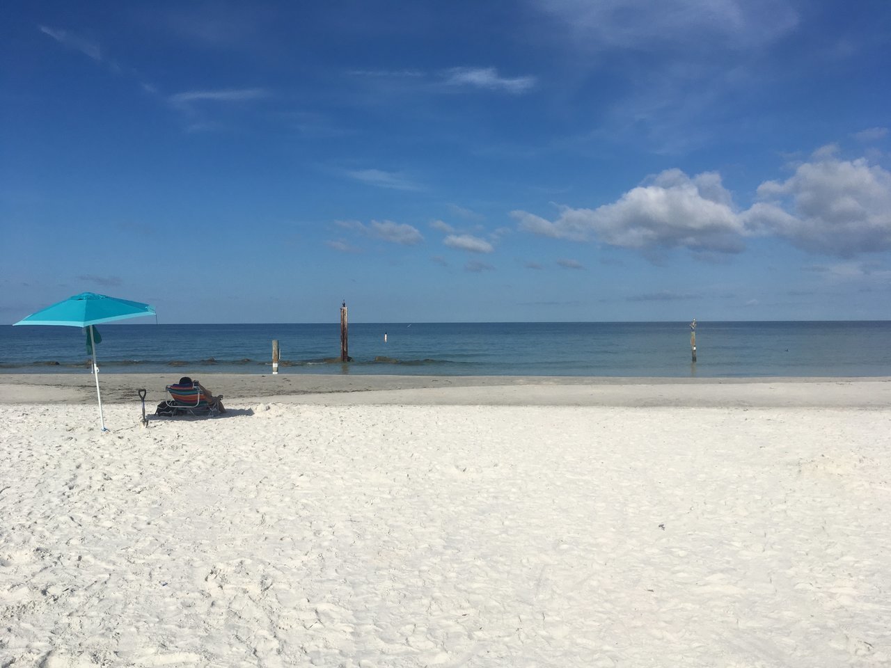 IMG_2837.jpg
