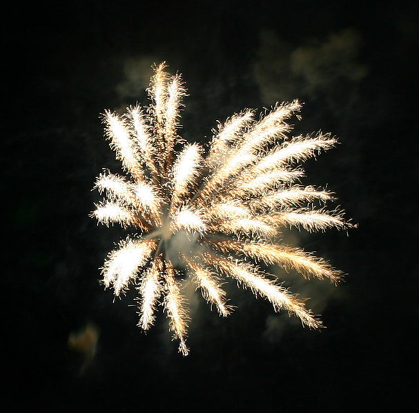 IMG_2842.jpg