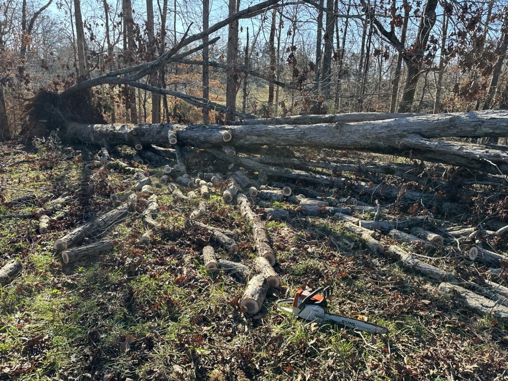 IMG_2860.jpg
