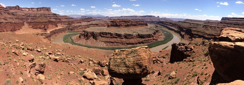 IMG_2895.jpg