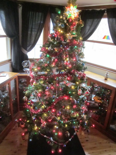 IMG_2962.jpg